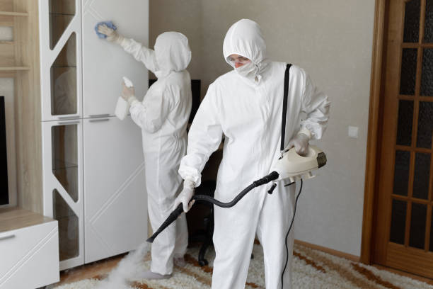 Best Post-Flood Mold Remediation in Springville, VA
