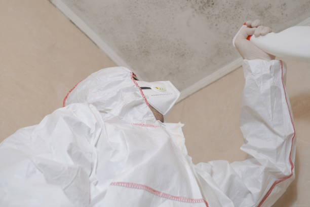 Best Mold Remediation for Specific Building Types in Springville, VA
