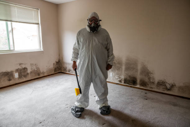 Springville, VA Mold Remediation Company